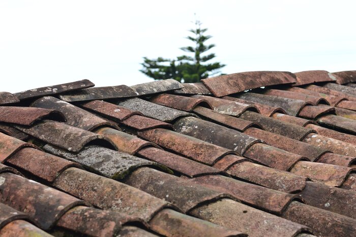 5 Types Of Residential Roofs Recommended The Most By Architects