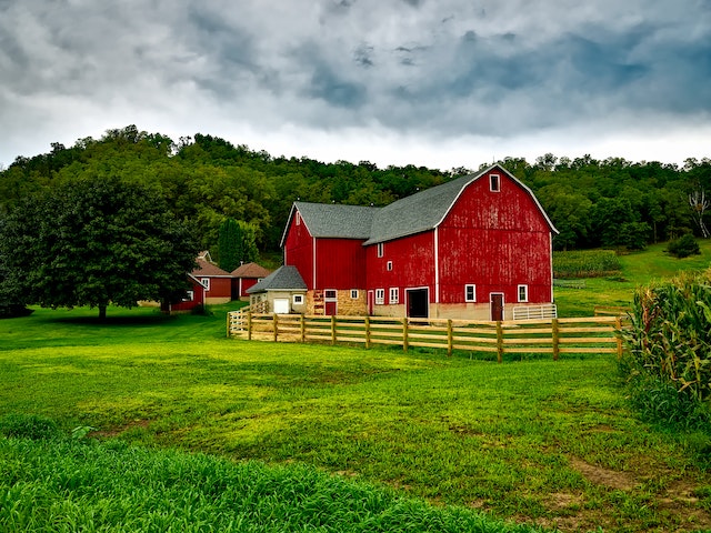 Branching Out Exploring Investment Opportunities in Canadian Farms
