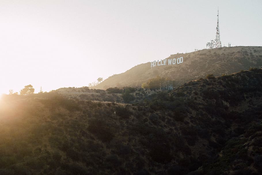 How Much Do Real Estate Agents Make A Year In California?
