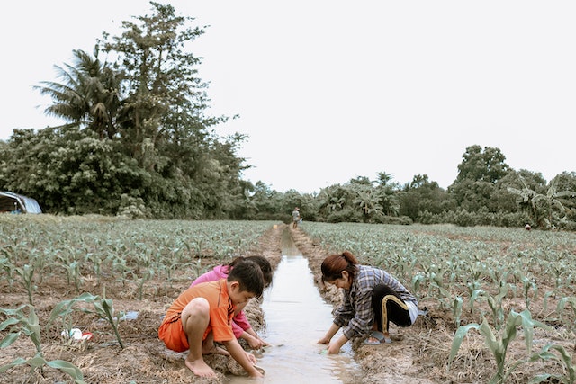 How Smart Irrigation Can Save You Time & Money Tips and Tricks