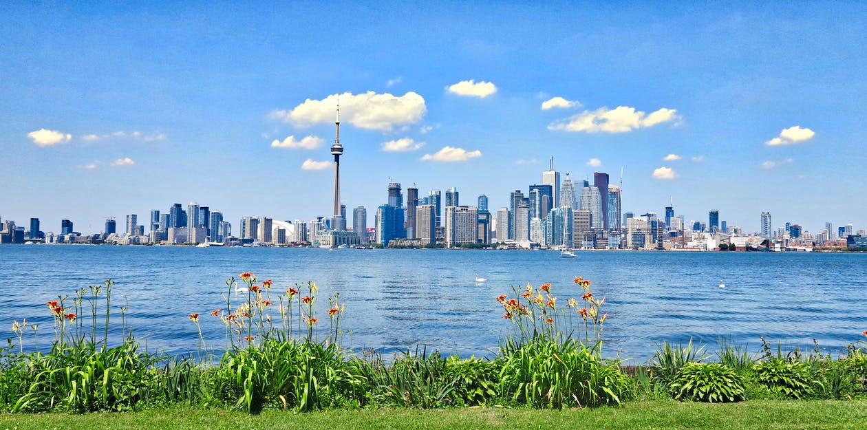 How To Choose the Right Real Estate Agent in Toronto? 