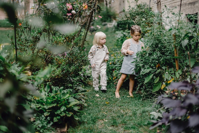How to Protect Your Garden During the Winter Months
