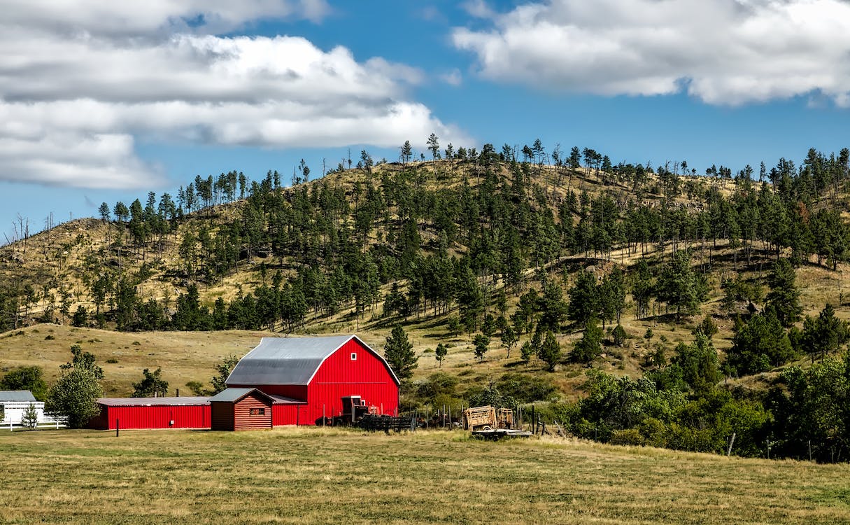 What Types of Windows are Suitable for a Barndominium