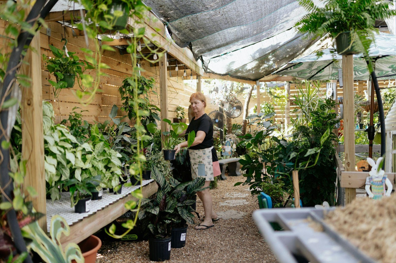 The Ultimate Guide to Eco-Conscious Outdoor Space Makeovers